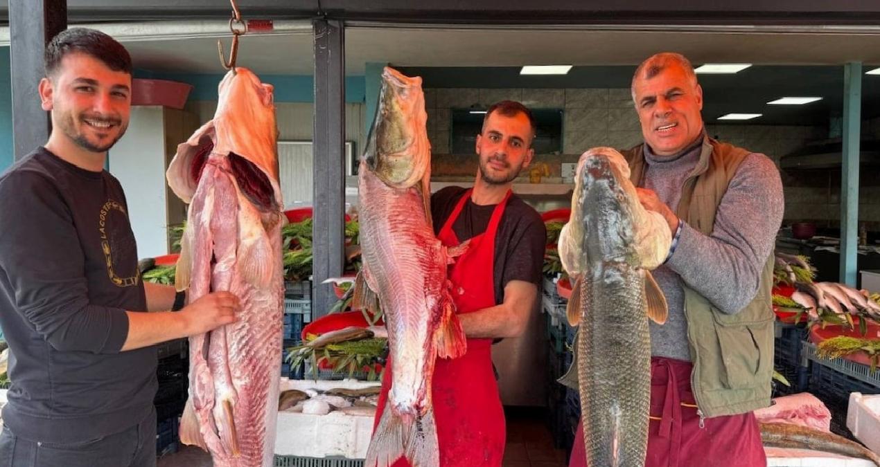 Munzur Çayı’nda yakaladı: Bir saat içerisinde tükendi