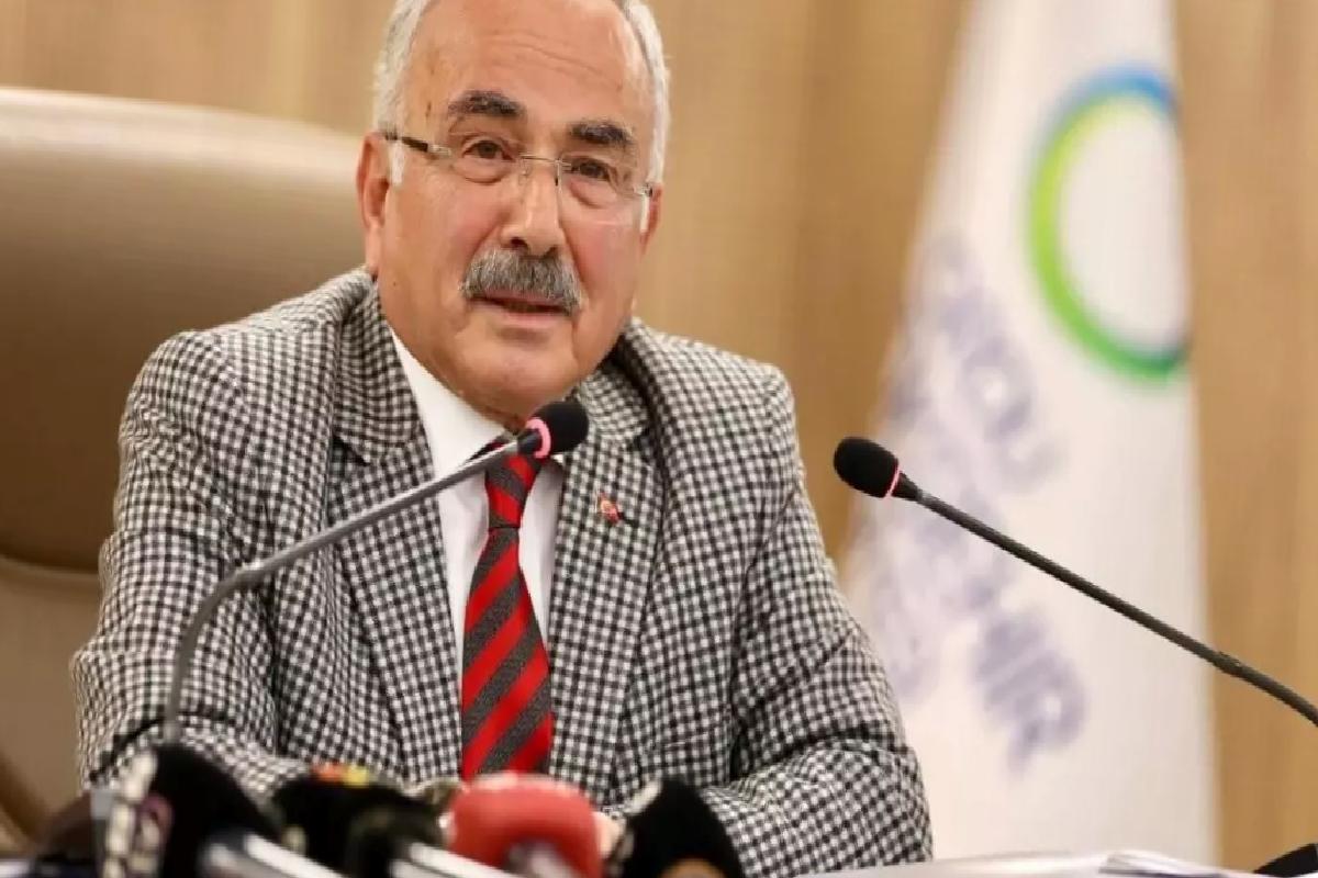 Ordu’da Sokak Hayvanları İçin Doğal Yaşam Alanları Oluşturulacak