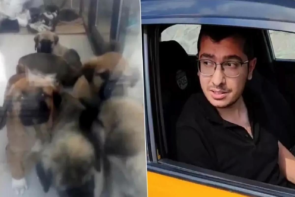 Parçalayıp öldürdüğü köpek sayısı 26’ya ulaştı! Doktordan akılalmaz savunma