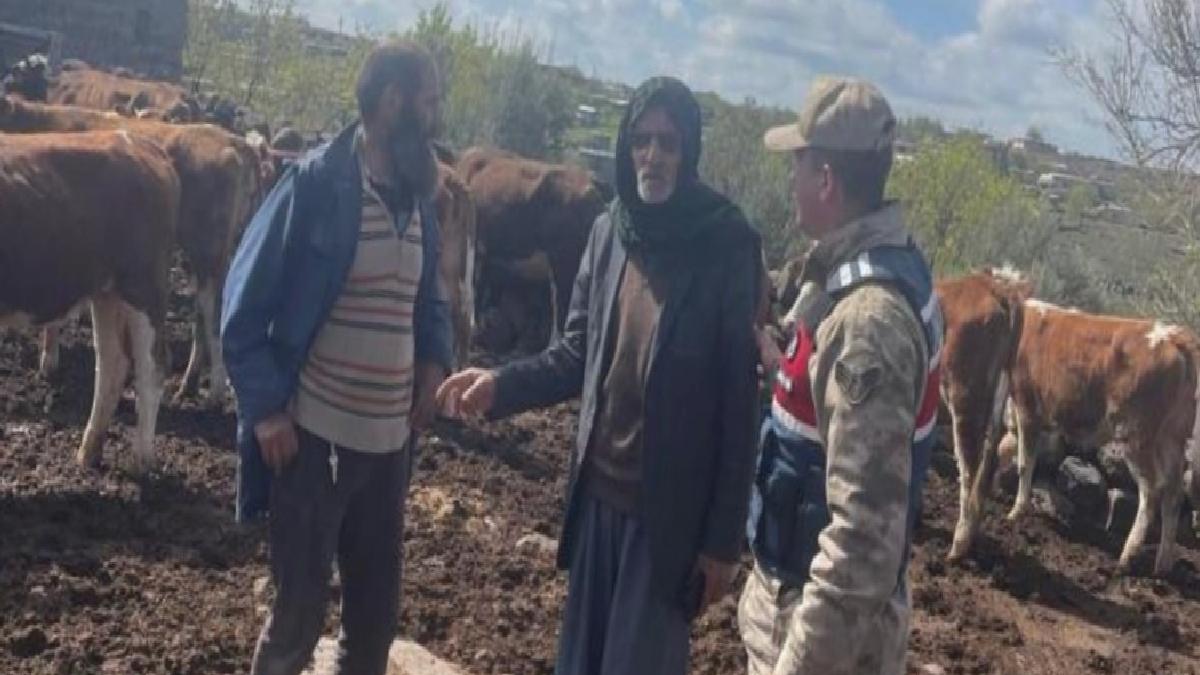 Şanlıurfa’da çalınan büyükbaşlar sahibine kavuştu