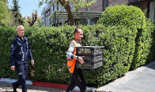 Şehirlerarası Otobüs Terminalinde usulsüz şekilde taşınan 300 civciv yakalandı