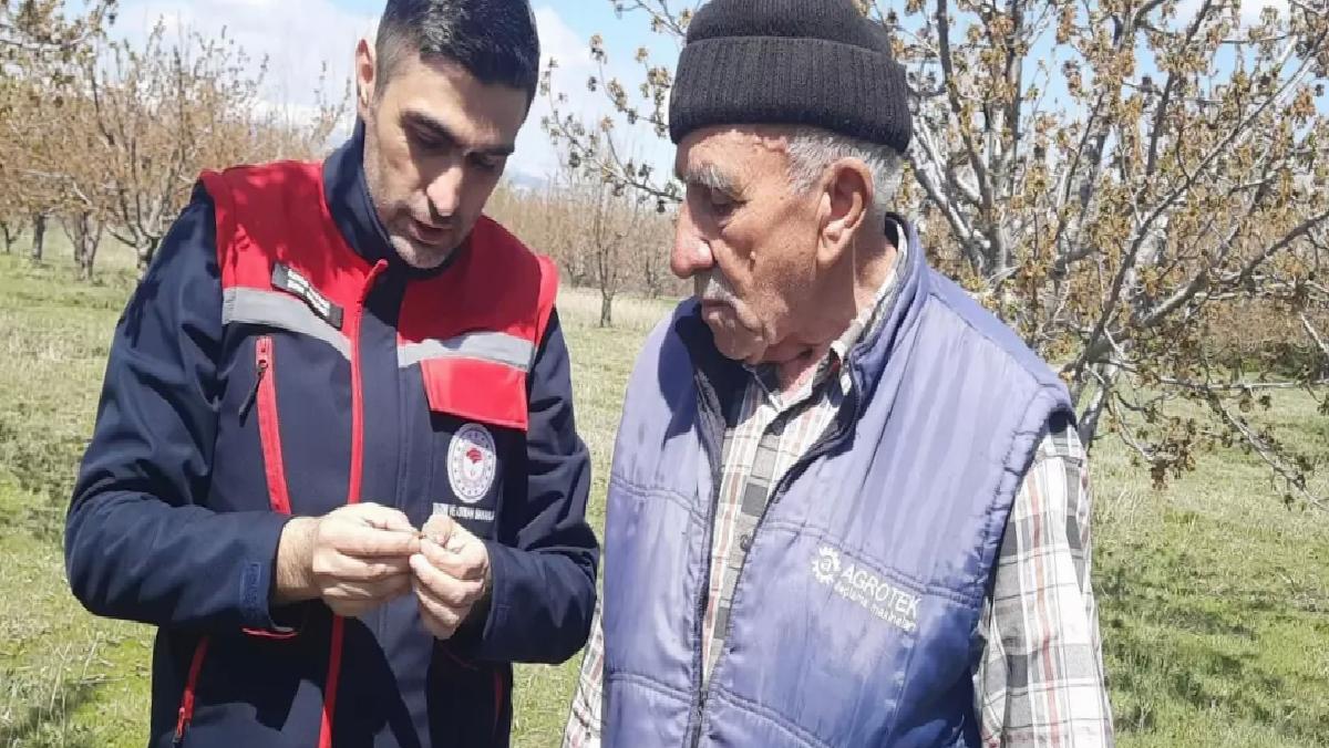 Sultandağı’nda Zirai Don Kiraz Hasadını Vurdu