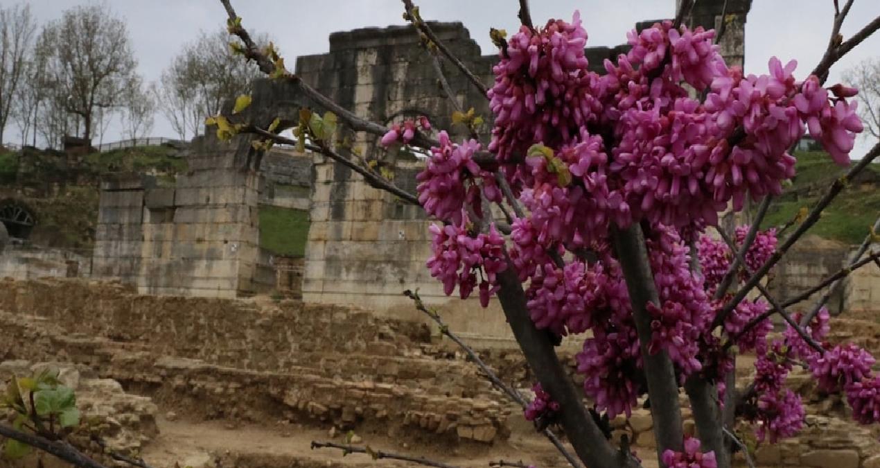 Tarih ve doğa buluştu: Antik tiyatro renklendi