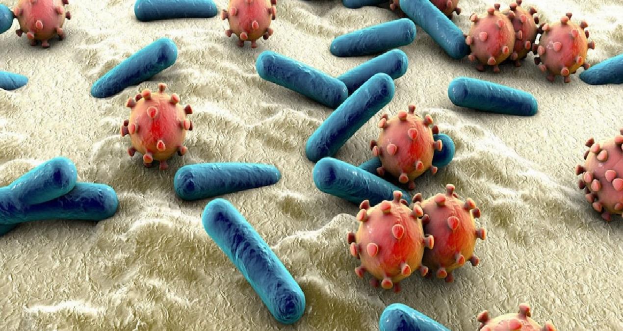Tehlikeli şekilde yayılan, antibiyotiklere dirençli bakteri keşfedildi