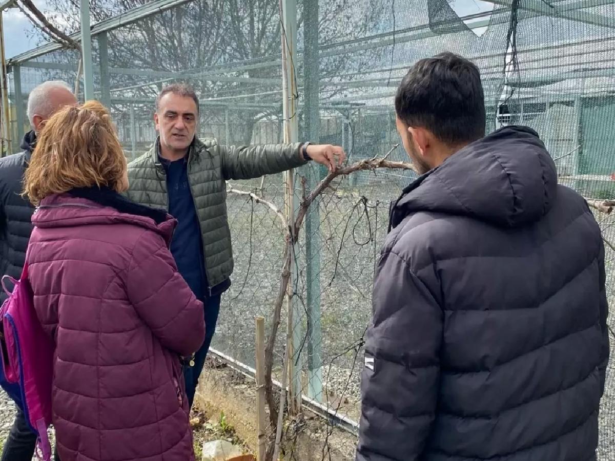 TOGÜ’de Meyve Ağaçları Eğitimi