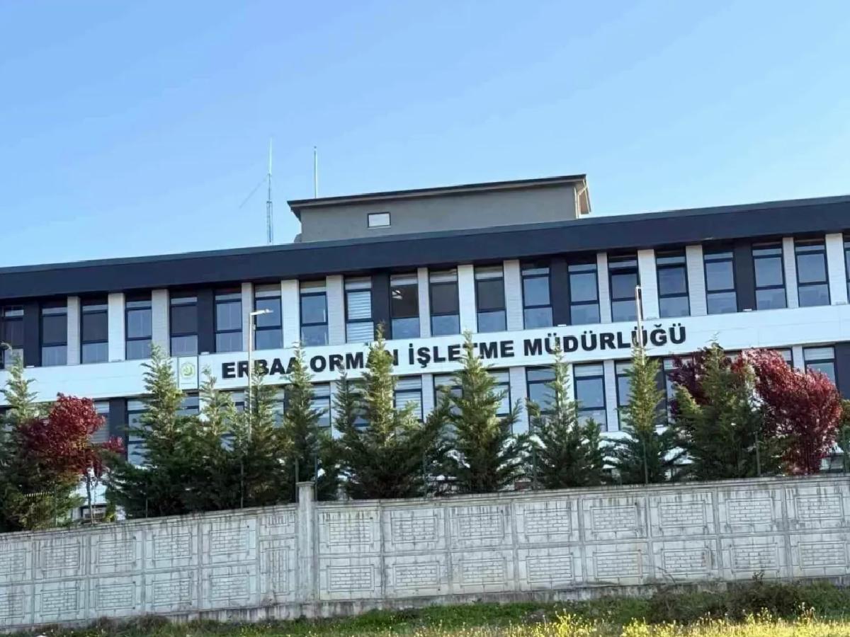 Tokat’ta Orman İhalelerinde Yolsuzluk Operasyonu