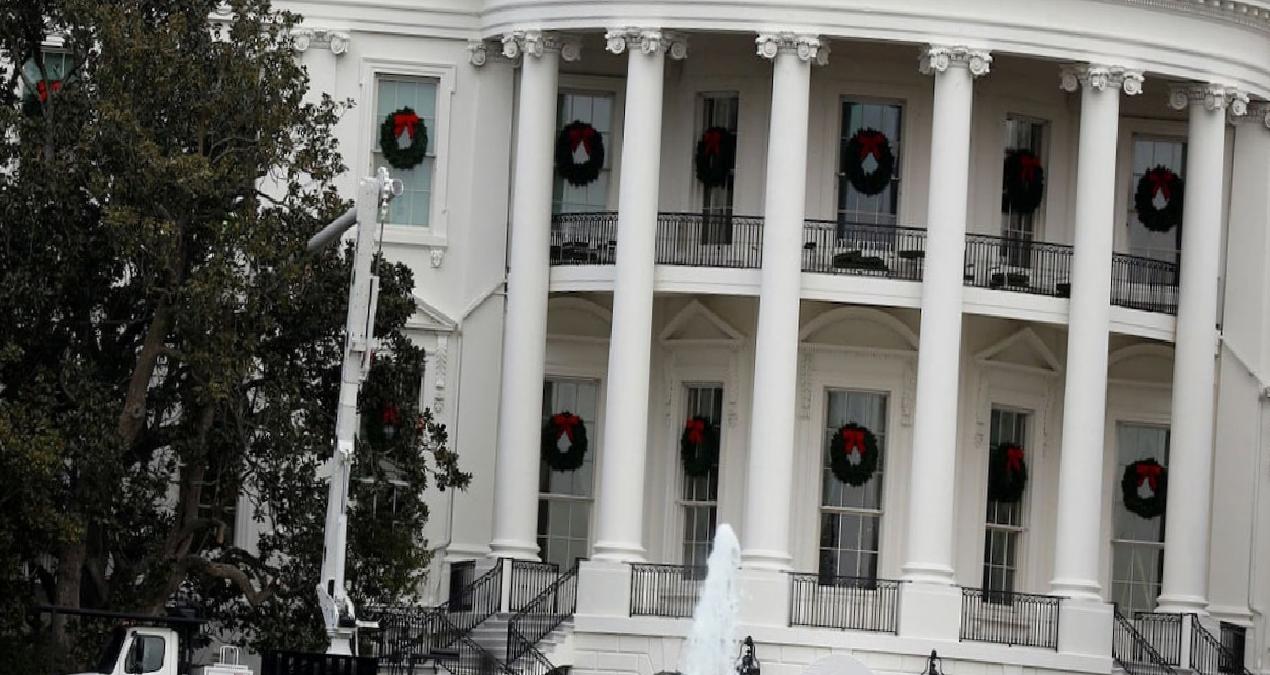 Trump 200 yıllık ikonik Beyaz Saray ağacını bu yüzden kesmiş