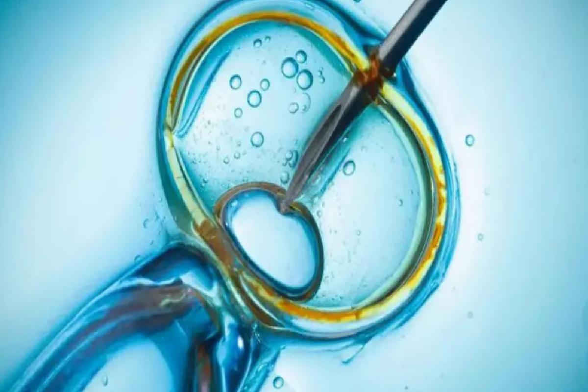Tüp bebek kliniğinde skandal hata: Kadın yanlışlıkla başka çiftin bebeğini doğurdu
