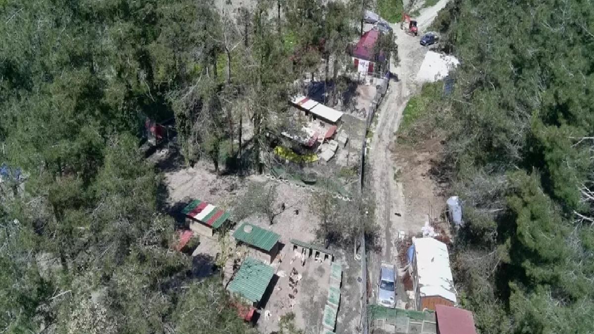 Türkeli Hayvan Rehabilitasyon Evi’nin Kapasitesi Artıyor
