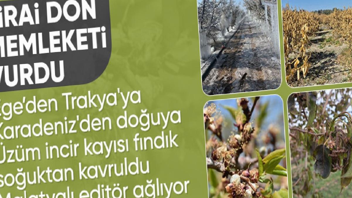 Türkiye, tarihin en büyük zirai don süreçlerinden birinden geçiyor