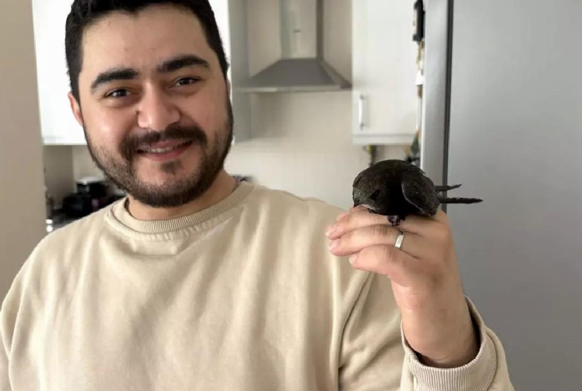 Ünye’de Nadir Kuş Ebabil Doğaya Uçtu