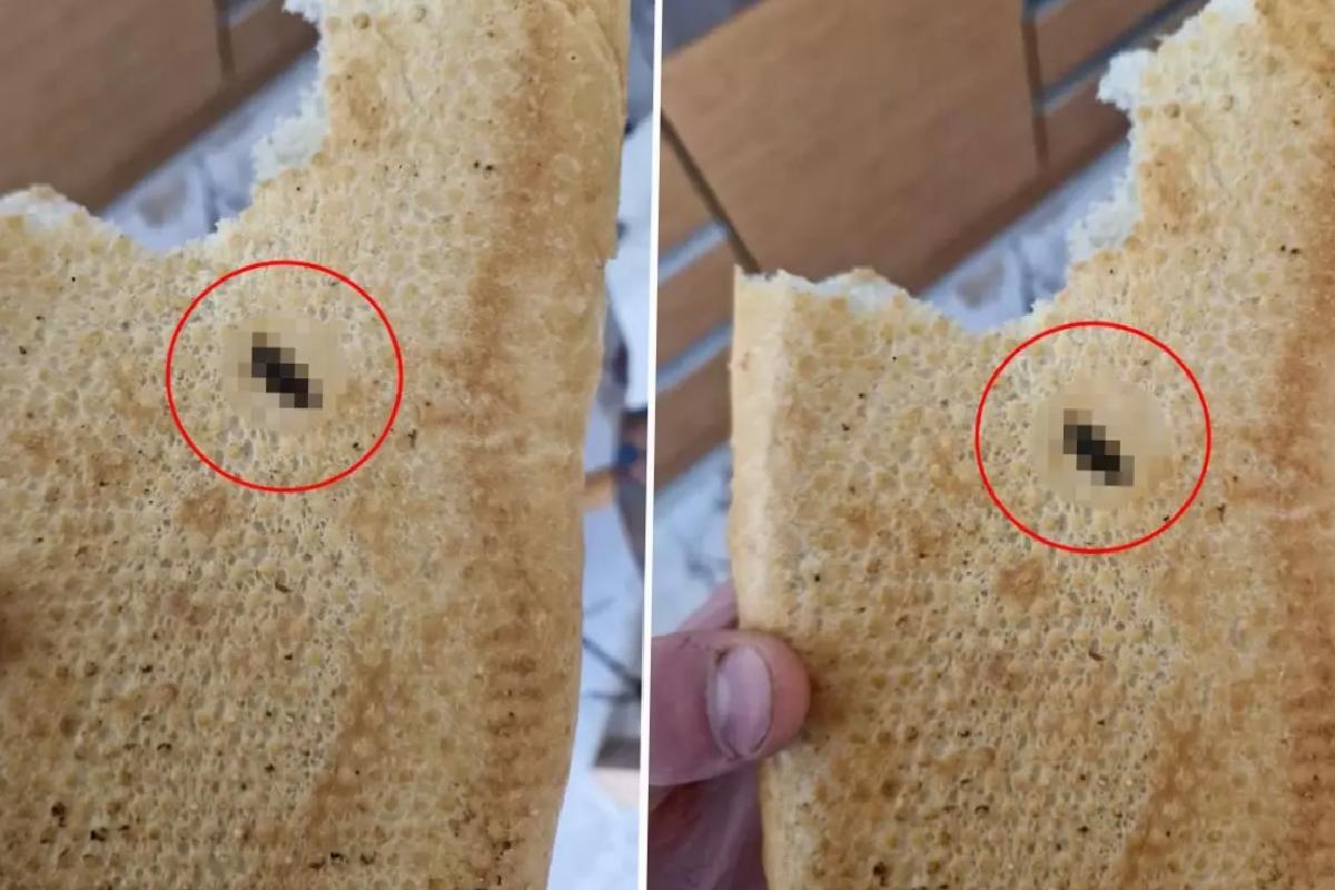 Vatandaşa satılan ekmeğin içinden çıkana bakın! Kontrol etmese yiyecekti