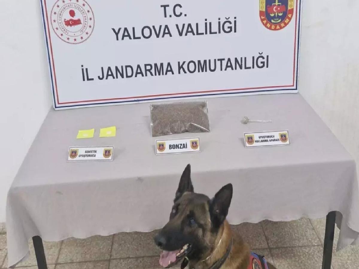 Yalova’da Uyuşturucu Operasyonu: Zanlı Tutuklandı