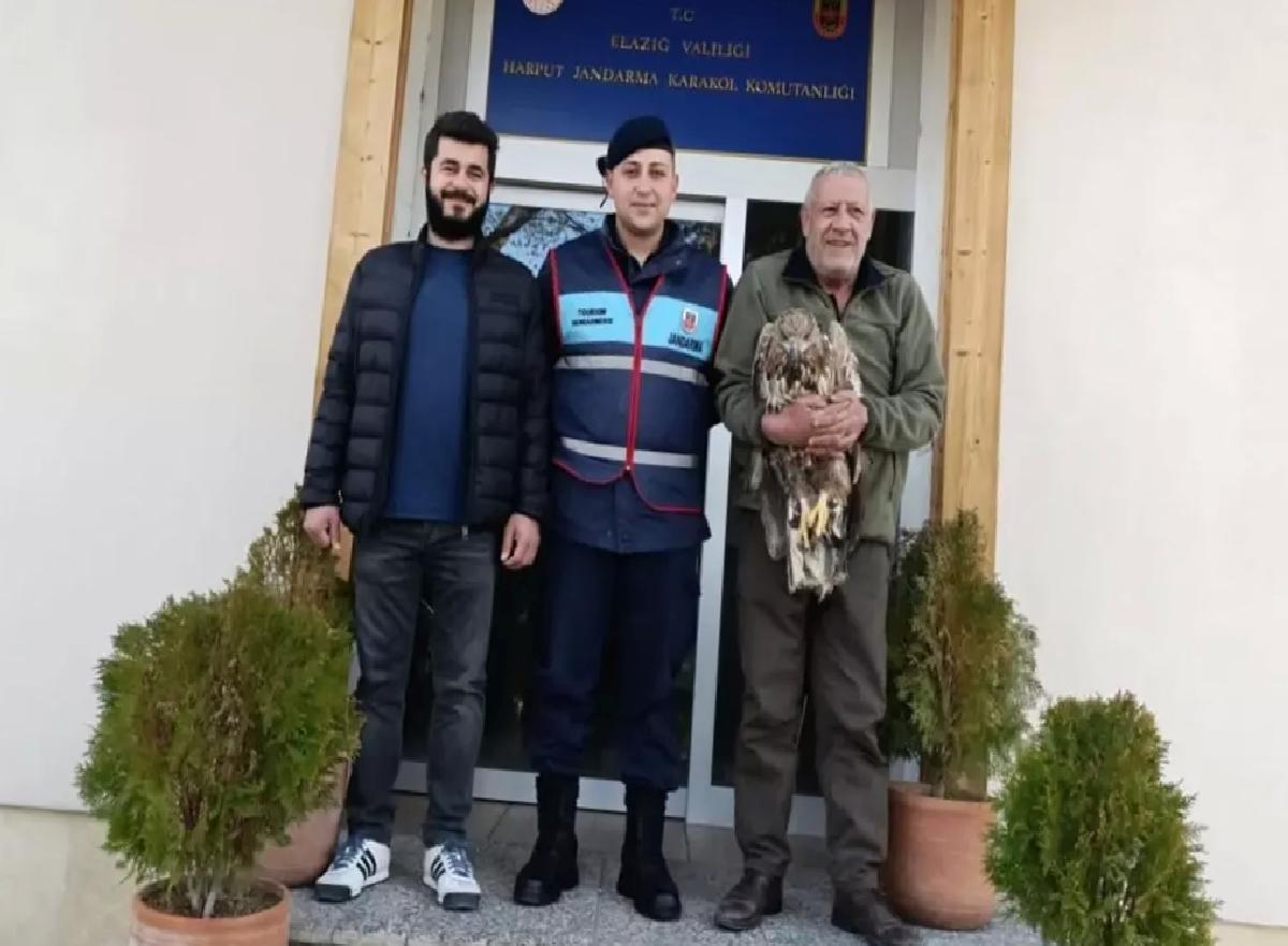 Yaralı Kaya Kartalı Tedavi Ediliyor