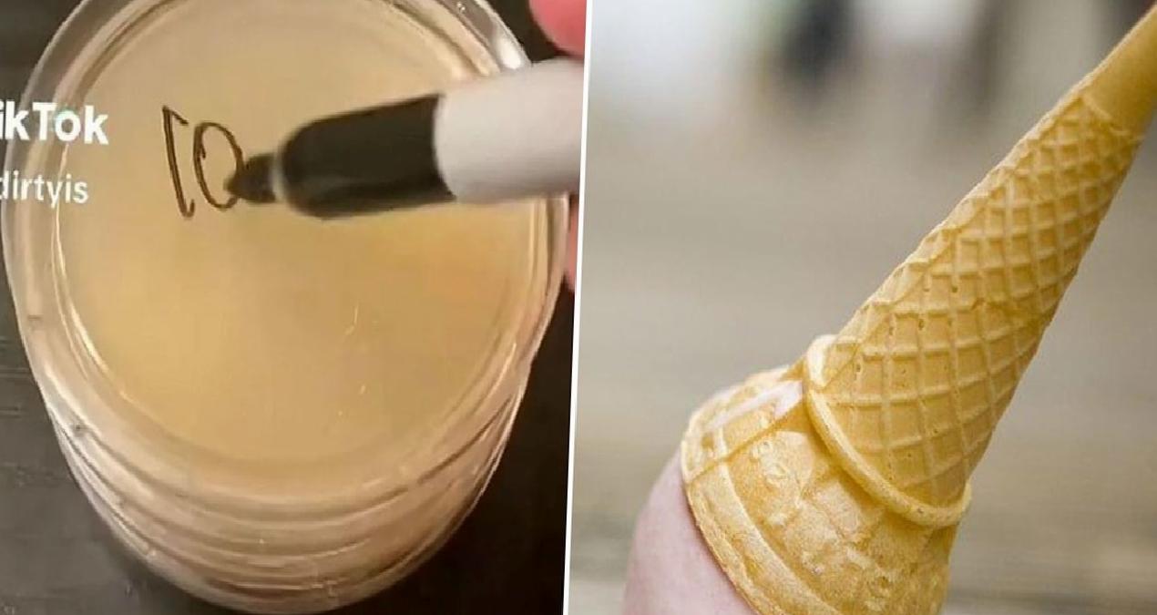 Yere düşen yiyeceklerde ‘5 saniye kuralını’ inceledi: Bilim insanı bile şaşırdı