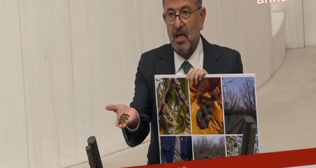 Zirai don felaketi Meclis gündeminde! Veli Ağbaba: ‘Her ilden çığlıklar yükseliyor, her evden ağıtlar yakılıyor.’