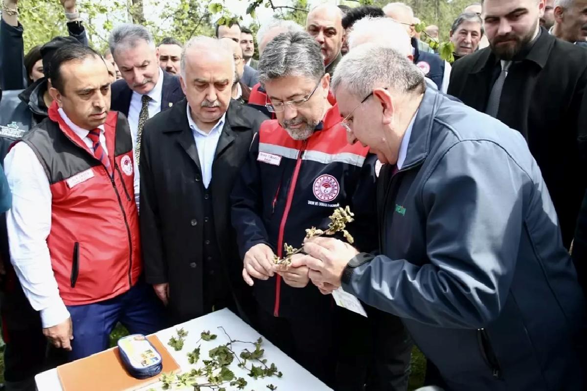 Zirai Don Olayı 34 İlde Meyve Ürünlerini Etkiledi