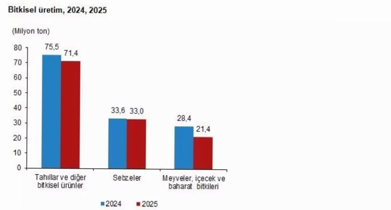 2025 Bitkisel Üretim Tahminleri Azalış Gösterdi