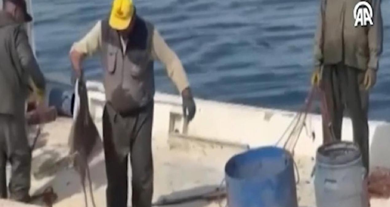 320 ahtapot tuzağına el konuldu