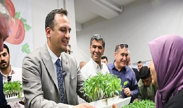 400 bin yazlık fide üreticiyle buluşuyor