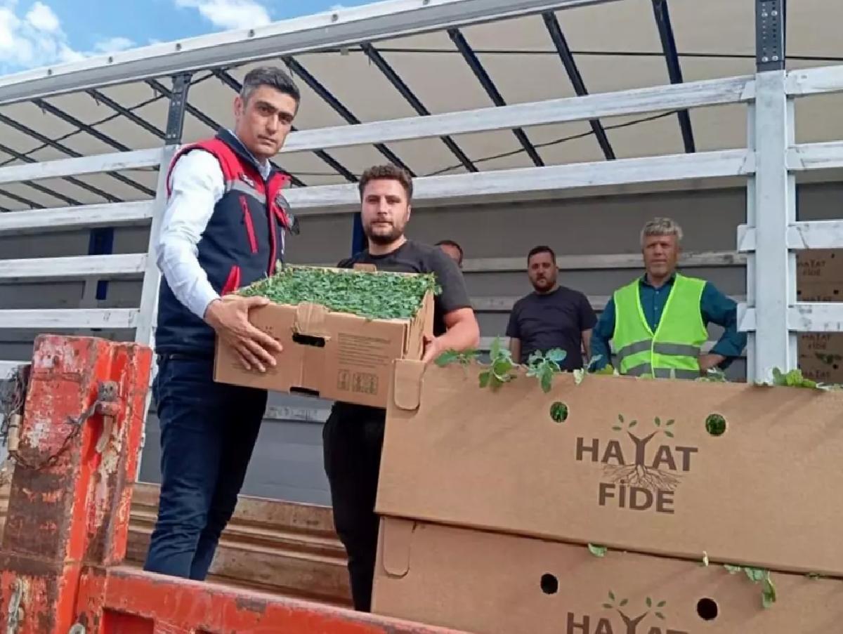 Afyon’da Domates Projesi Başladı