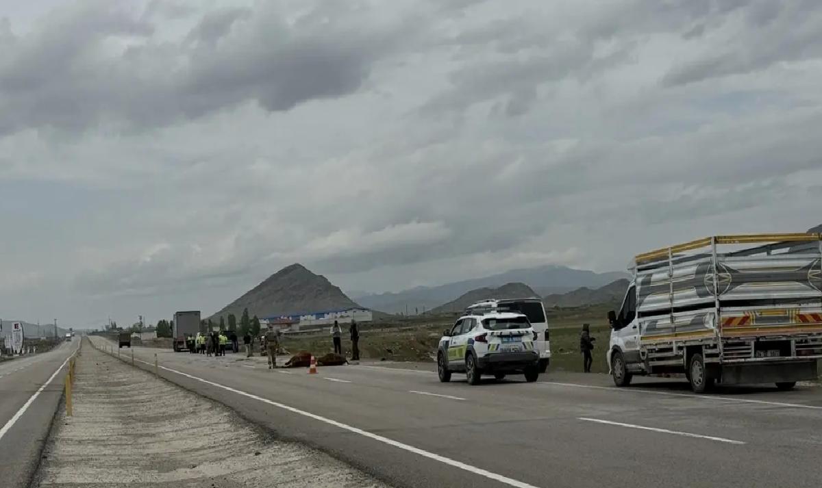 Ağrı’da Boks Şampiyonası Başladı