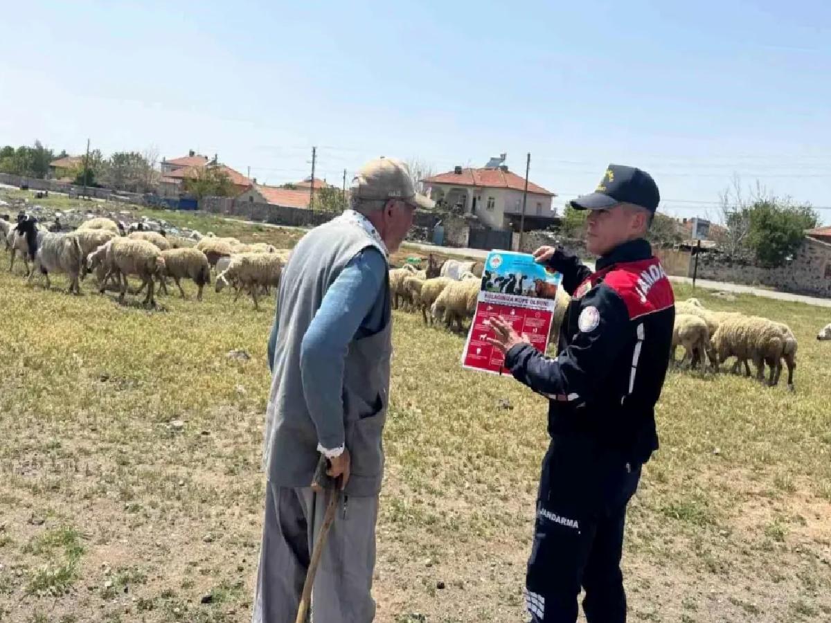 Aksaray’da Kurban Bayramı Hazırlıkları