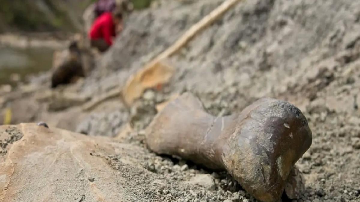 Alberta’da Dinozorların Gizemli Mezarı