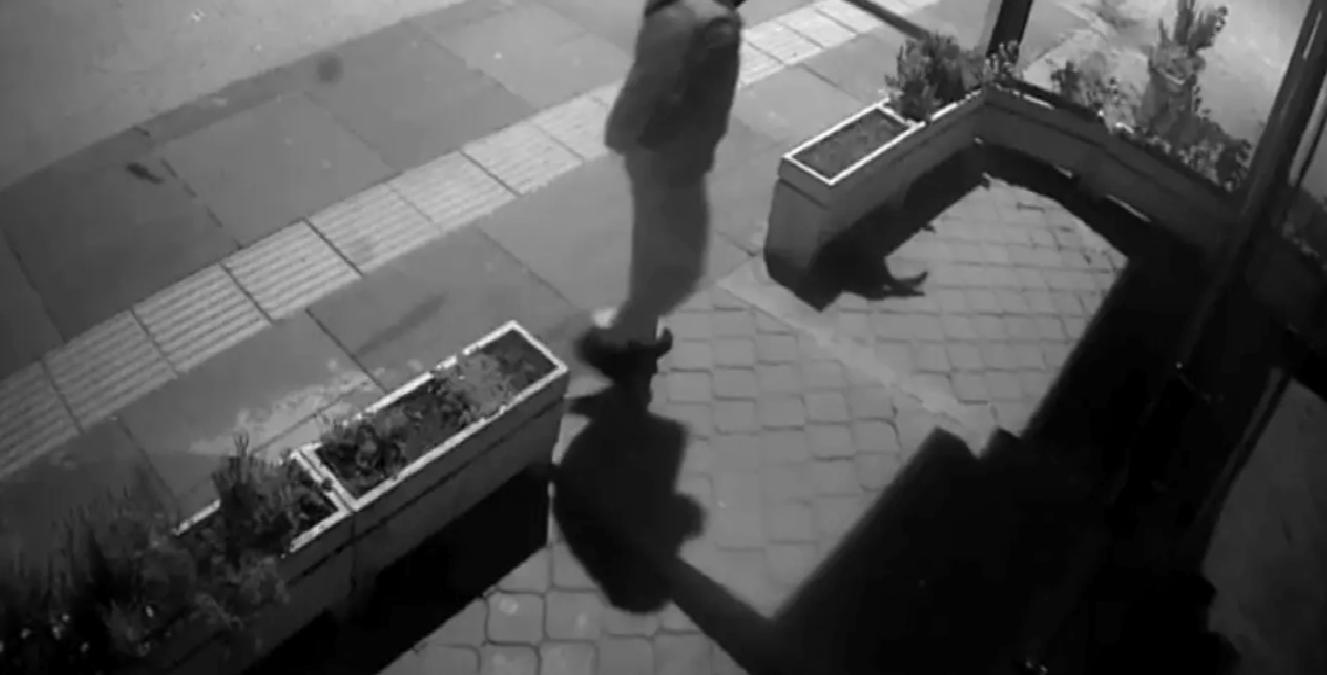 Ankara’da Kedi Hırsızlığı Kamerada