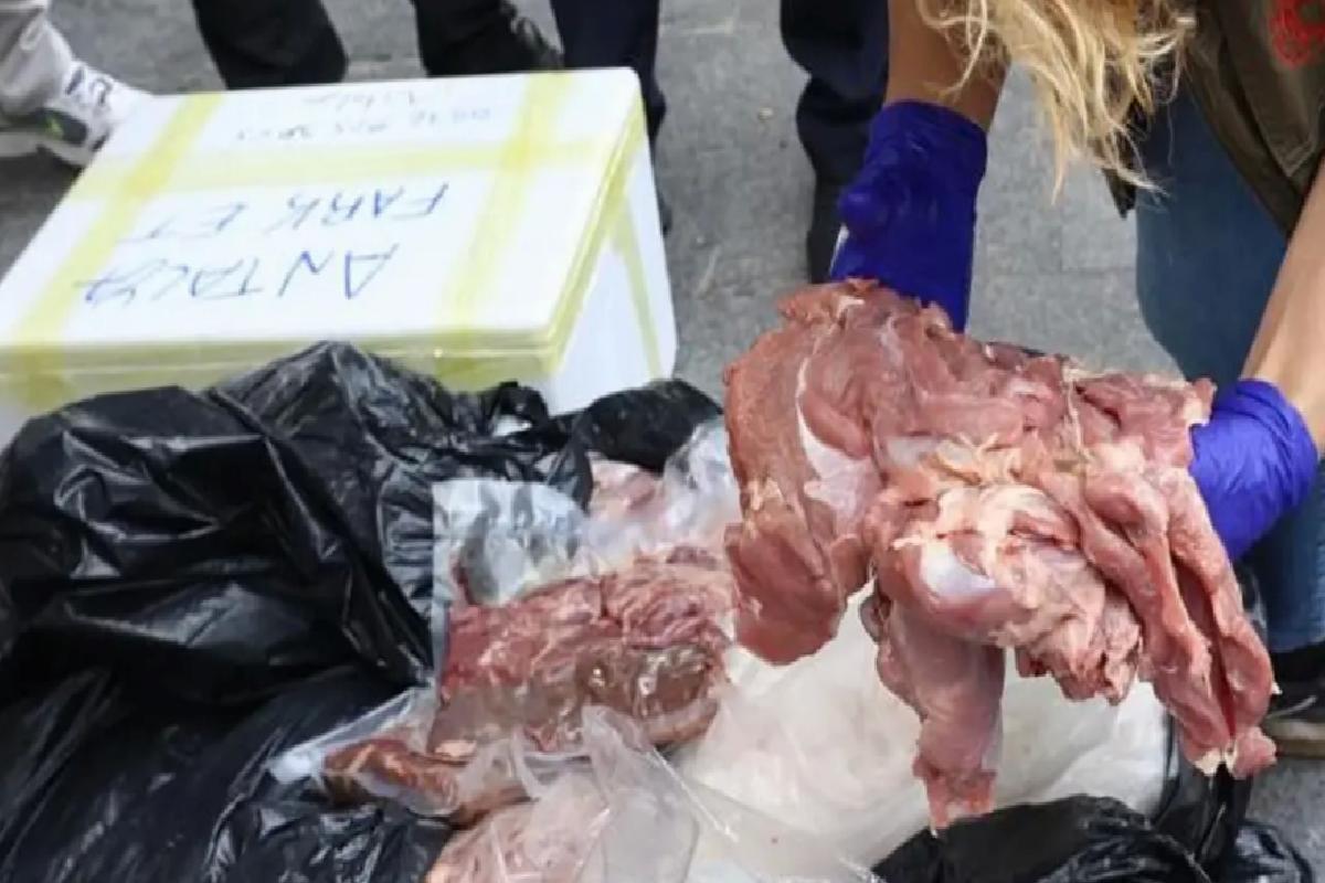 Antalya’da Usulsüz Et Taşımacılığı Tespit Edildi