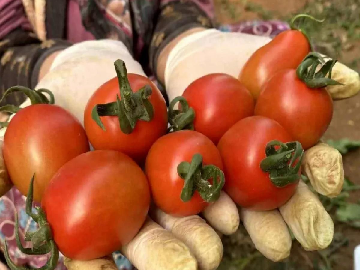 Antalya’nın İhracatı Nisan’da Artış Gösterdi
