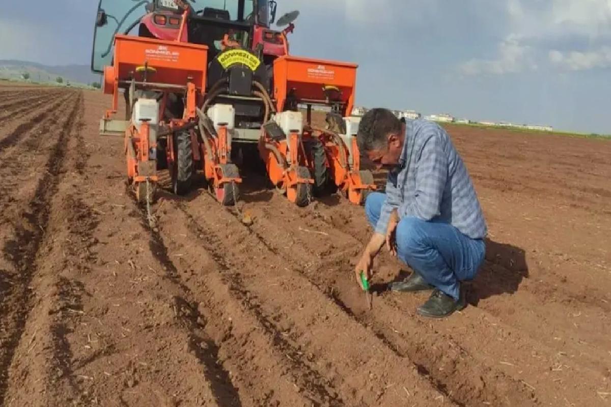 Araban’da Pamuk Ekimi Başladı