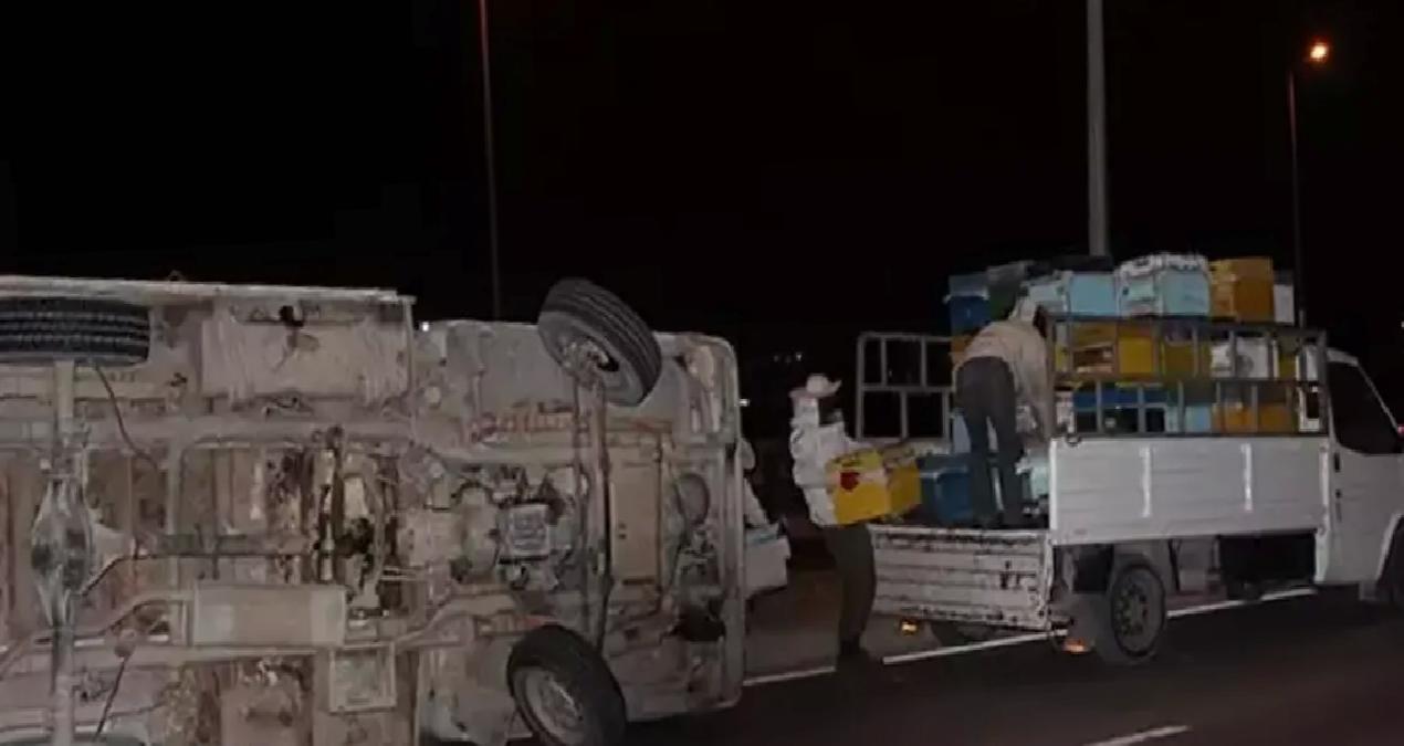 Arı kovanı yüklü kamyonet devrildi, binlerce arı etrafa saçıldı