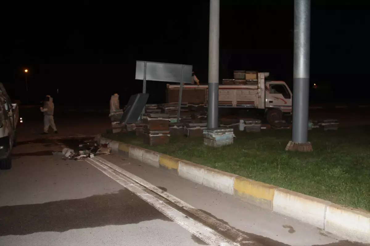 Arı Kovanı Yüklü Kamyonet Devrildi, Polis Hastaneye Kaldırıldı