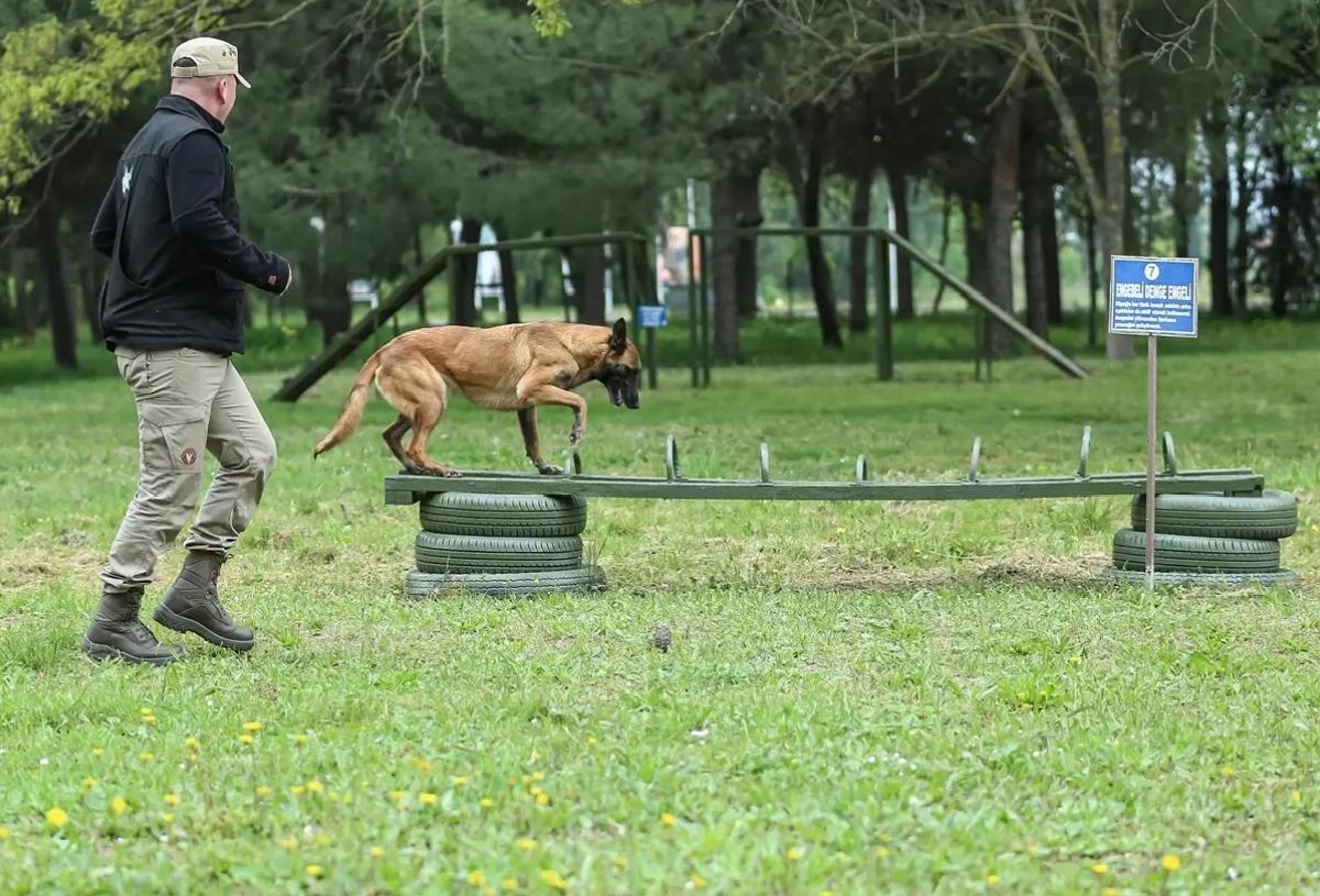 Askeri Köpekler TSK’nın Yanında