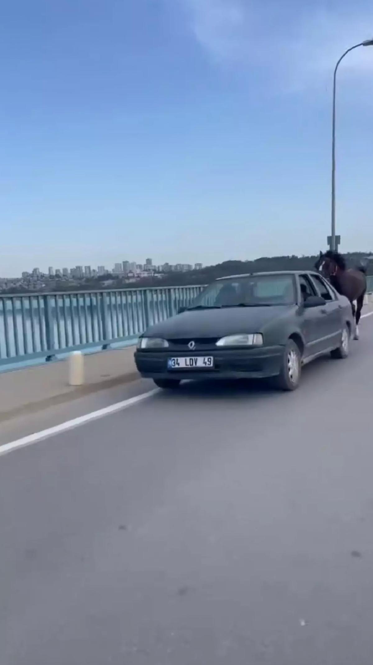 Atla Otomobil Sürmekte Gözaltı!