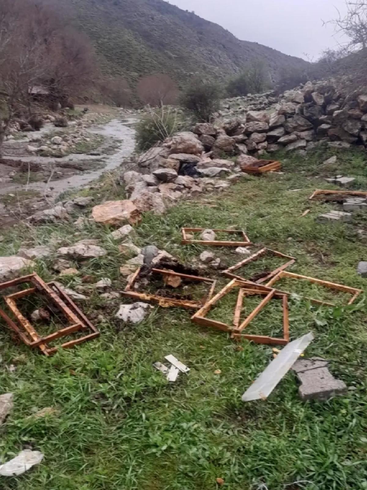 Ayılar Arı Kovanlarına Saldırdı