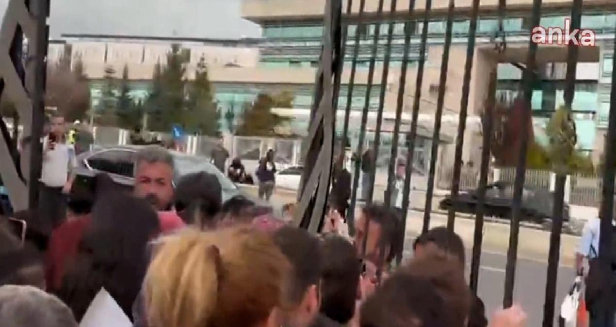 AYM’nin kararı sonrası hayvanseverler engellemeleri aştı, AYM’nin kapısına dayandı