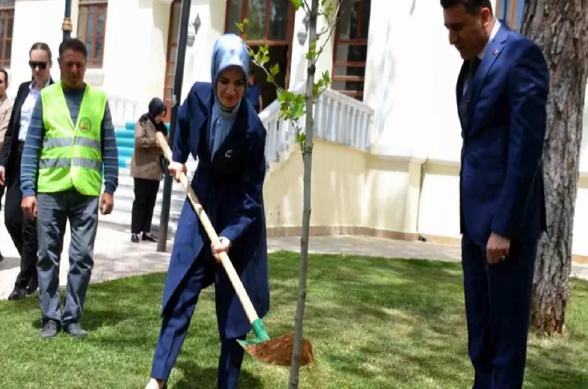 Bakan Göktaş, Bilecik’te Çınar Fidanı Dikti