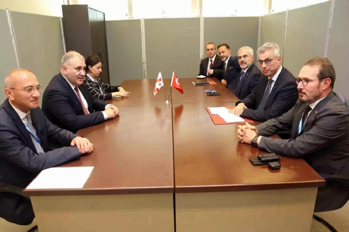 Bakan Memişoğlu, Gürcistanlı Mevkidaşıyla Görüştü