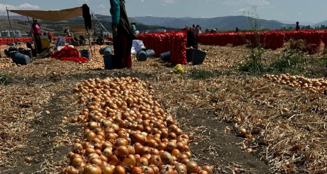 Bakanlık çözmezse ürünleri sökeriz