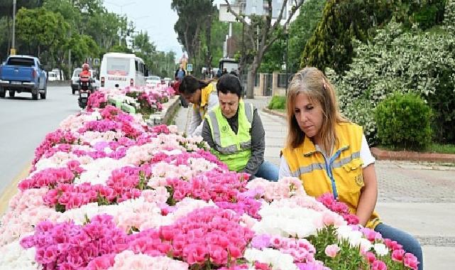 Başkan Çerçioğlu Efeler’i Bahar Çiçekleri ile Süsledi