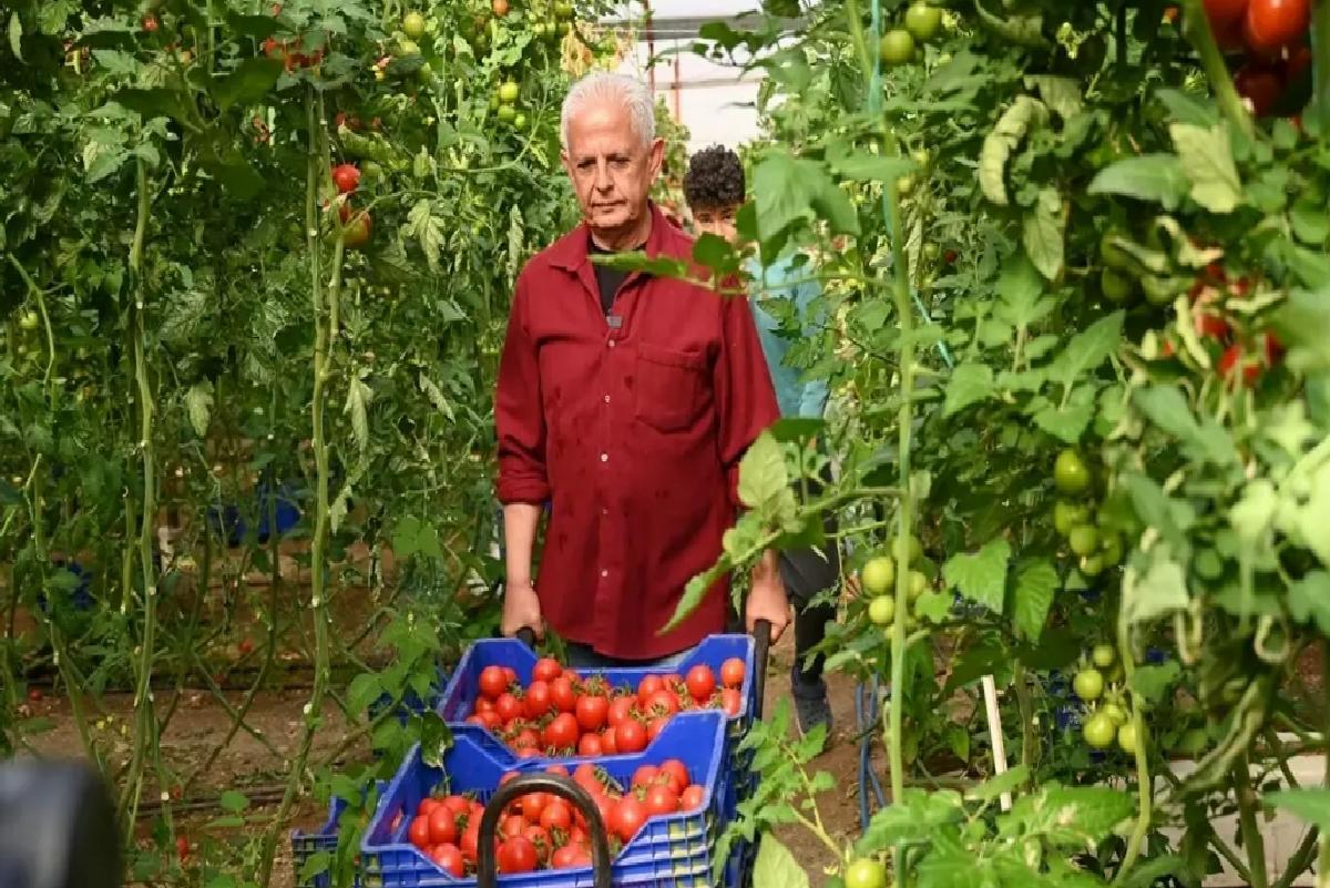 Başkan Duran, Serada İşçilerle Çalıştı