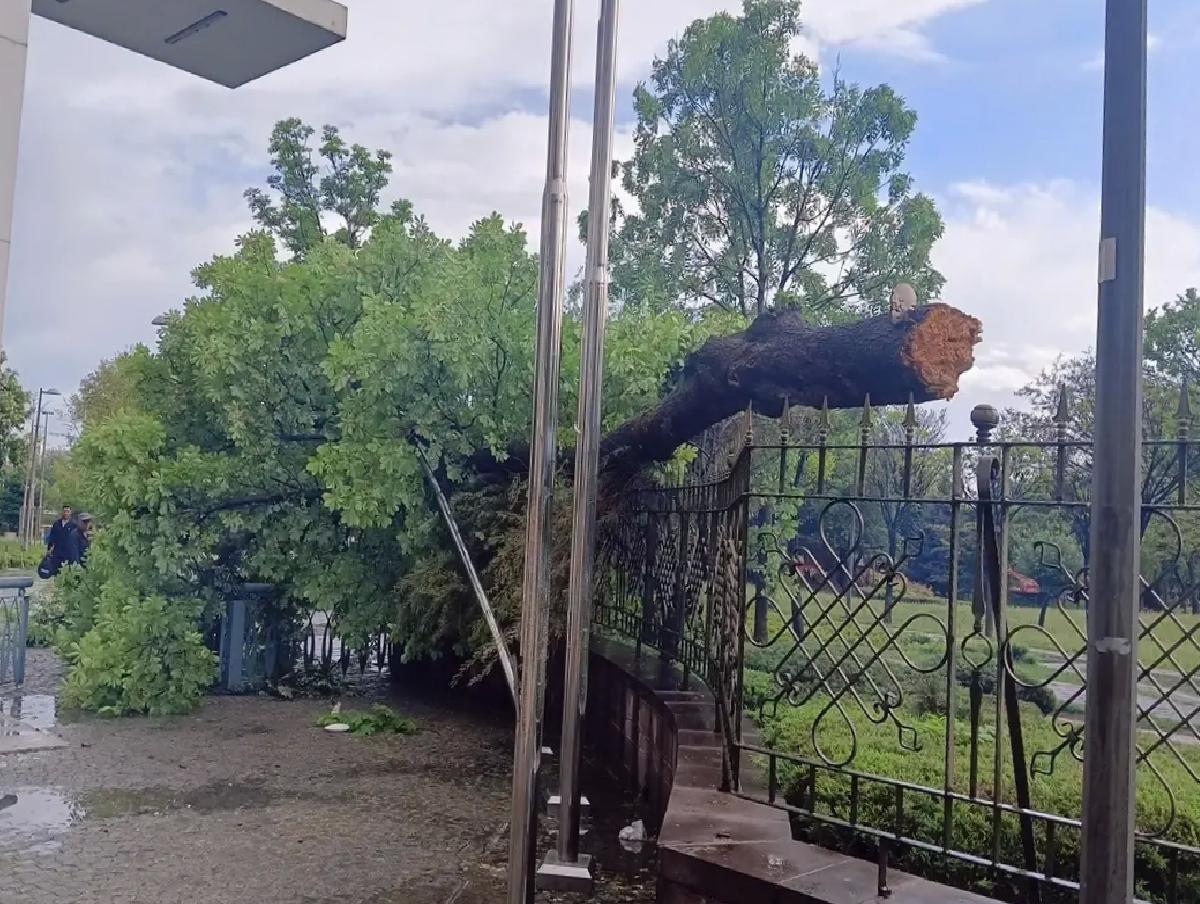 Başkentte Fırtına ve Sağanak Yağış