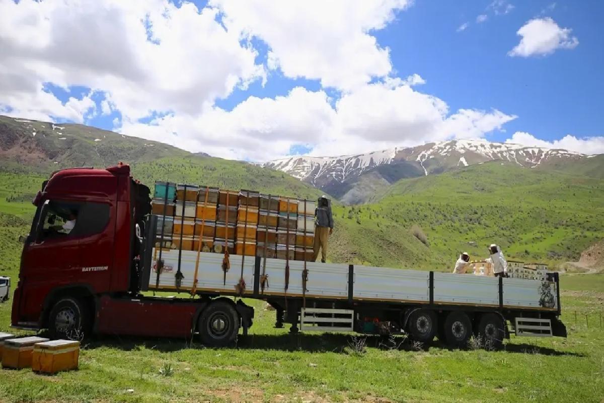 Bingöl Arıcıları İlkbahar İçin Dönüş Yolda