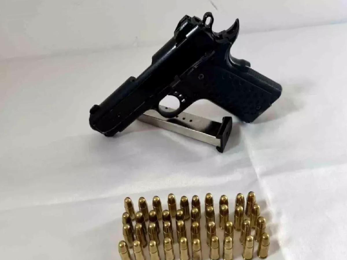 Bingöl’de Silah Operasyonu: 2 Silah Ele Geçirildi
