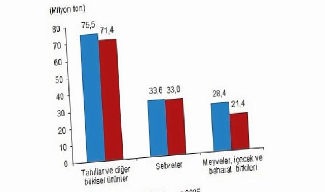 Bitkisel Üretim 1.Tahmini, 2025