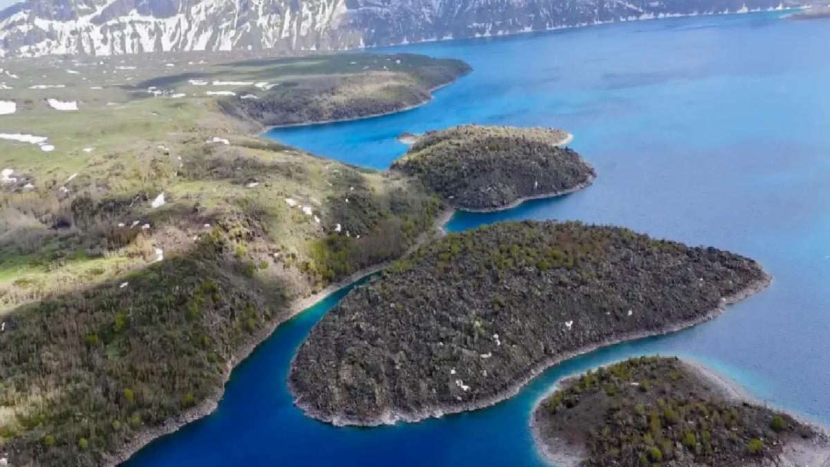 Bitlis Valiliği’nden Bozayı Uyarısı