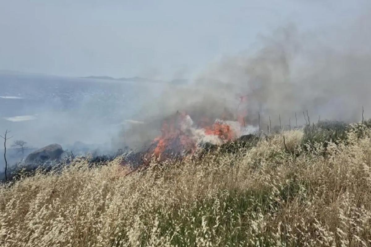 Bodrum’da 5 hektarlık alan kül oldu