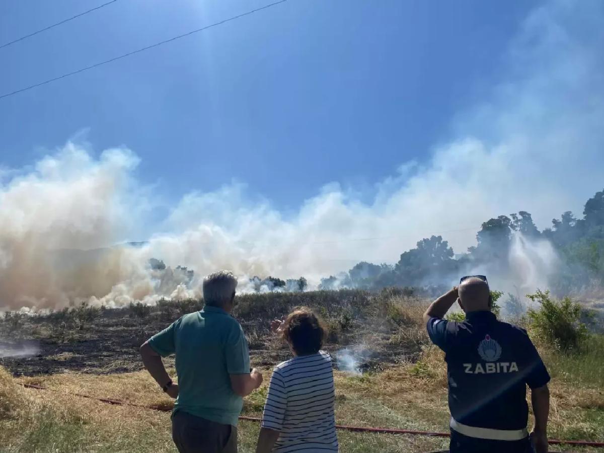 Bodrum’da Ot Yangını: 5 Dönüm Zarar Gördü